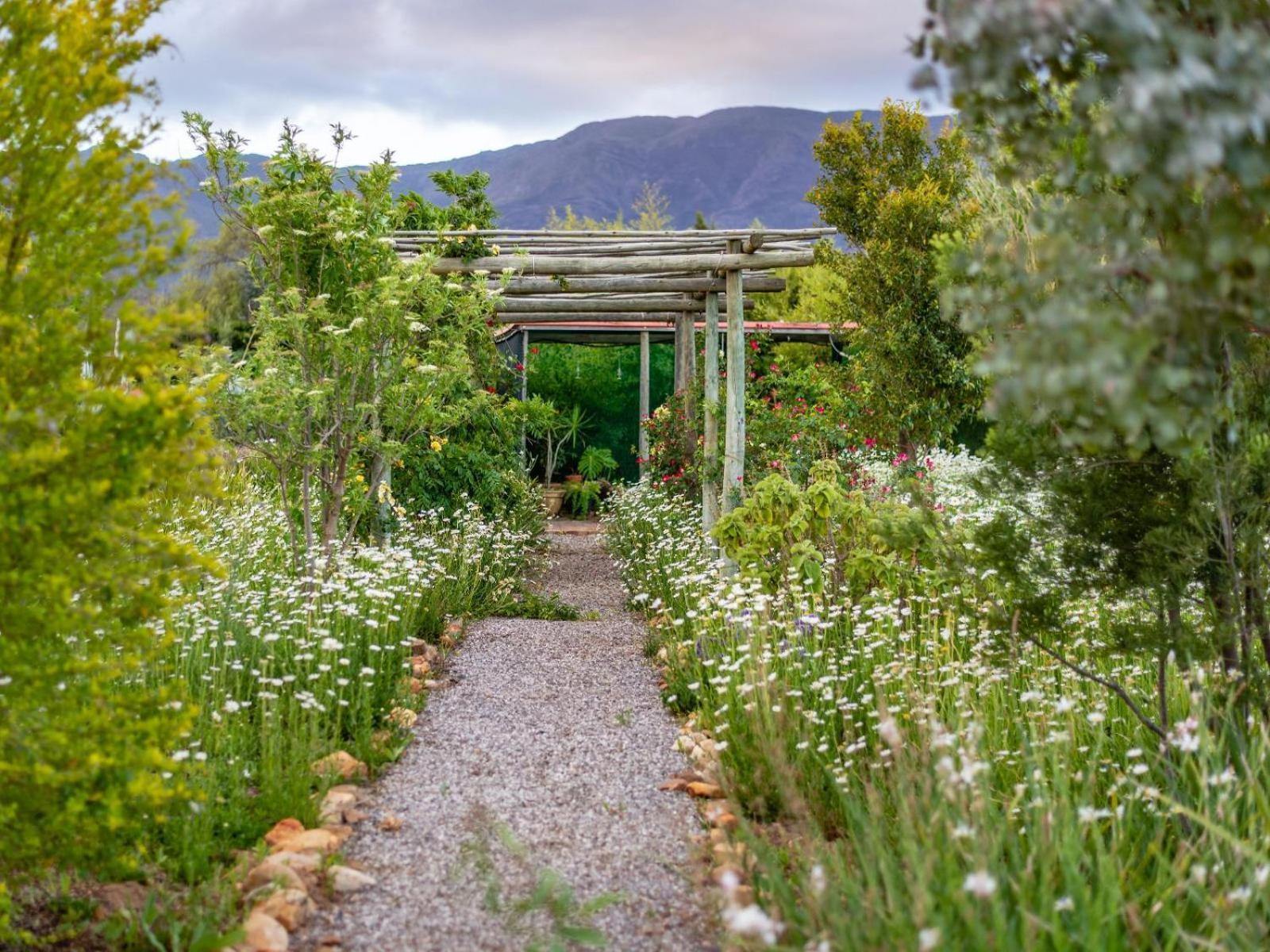 Galloway Guest House Robertson Esterno foto